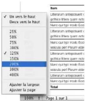 APPLE Pages 08 - Niveaux de zoom - 1