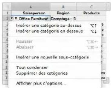 APPLE Numbers 09 - Création de catégories au sein d'un tableau - 1