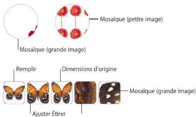 APPLE Numbers 09 - Pour replir un objet avec une image : - 2