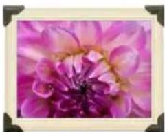 APPLE Numbers 09 - Objets d'encadrement - 1