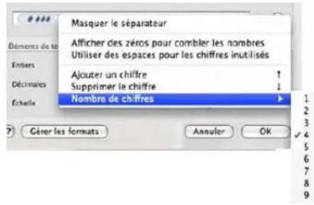 APPLE Keynote 09 - Définition des éléments d'entiers d'un format numérique personalisé - 1