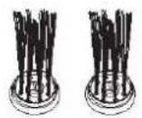 WAVES RVC104691 - Station d'accueil x1 - 5