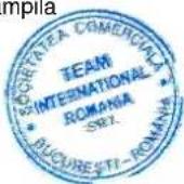 Venga VG FT 1 - CERTIFICAT DE GARANTIE TEAM/ROMIX/KALORIK/MAYBAUM/MAGIC/PMD/ECOLINE/ROYAL - 1