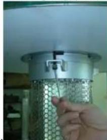 WAVES TH104982.1 - MONTAGE - 5