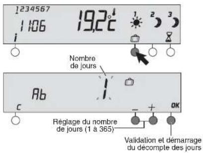 1234567 1106 19,2°C 1 2 3 Nombre de jours Ab C Réglage du nombre de jours (1 à 365) Validation et démarrage du décompte des jours