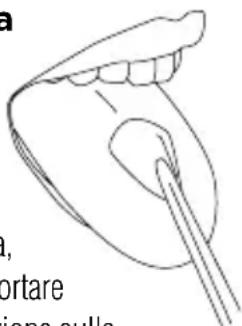 Waterpik WP674 - Beccuccio pulisci lingua - 1