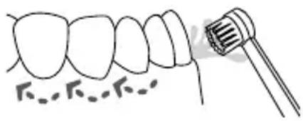 Waterpik WP674 - Embout brosse à dents - 1