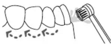 Waterpik WP676 - Embouch brosse à dents - 1