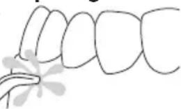 Waterpik WP660 - Minuterie (1 minute)/Minuteur 30 secondes (mode Floss [soied dentaire] uniquement) Arcade supere - 2