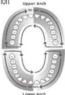 Waterpik WP660 - One-Minute Timer/30-second Pacer (Floss Mode Only) - 1