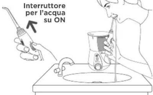 Waterpik WP660 - Come usare Waterpik ^假 Waterflosser - 2