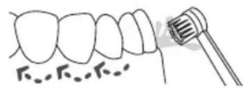 Waterpik WP660 - Beccuccio a spazzolino - 1