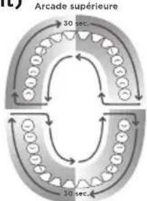 Waterpik WP660 - Minuterie (1 minute)/Minuteur 30 secondes (mode Floss [soied dentaire] uniquement) Arcade supere - 1