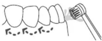 Waterpik WP660 - Embout brosse à dents - 1