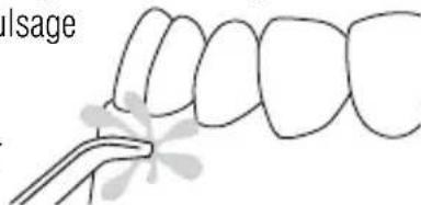 Waterpik WP672 - Minuterie (1 minute)/Minuteur 30 secondes (mode Floss [soie dentaire] uniquement) Arcade supérie - 2