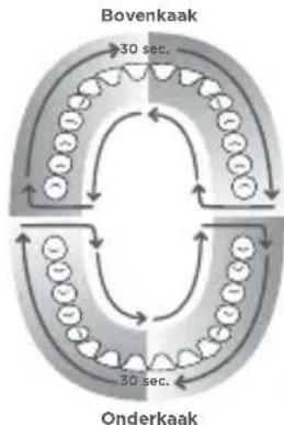 Waterpik WP672 - Timer van één minuut/pacer van 30 seconden (enkel flosmodus) - 1