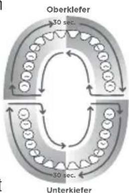 Waterpik WP655 - 1-Minuten-Timer/30-Sekunden-Puls (nur im Reinigungsmodus) - 1