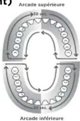 Waterpik WP655 - Minuterie (1 minute)/Minuteur 30 secondes (mode Floss [soie dentaire] uniquement) Arcade supérie - 1