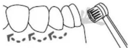 Waterpik WP655 - Tandenborsteltip - 1