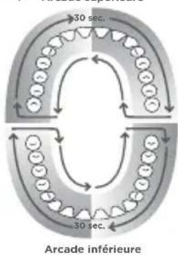 Waterpik WP650 - Minuterie (1 minute)/Minuteur 30 secondes (mode Floss [soie dentaire] uniquement) - 1