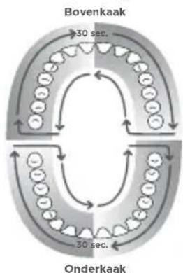 Waterpik WP650 - Timer van een minuut/pacer van 30 seconden (enkel flosmodus) - 1