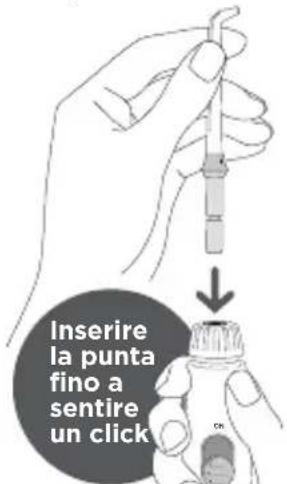 Waterpik WP650 - Selezionare e insere la punta - 1