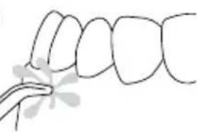 Waterpik WP650 - Hydro-Pulse-Massage-Modus - 1