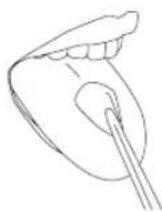 Waterpik WF03 - Tandenborsteltip - 1