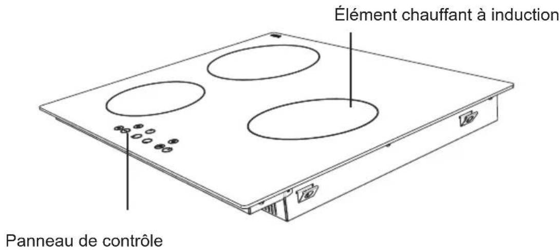 WALTHAM WTPI3 - Plaque avec 3 zones de cuisson : - 1