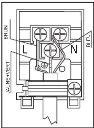 WALTHAM 2 VB - BRANCHEMENT ÉLECTRIQUE DE LA PLAQUE - 1