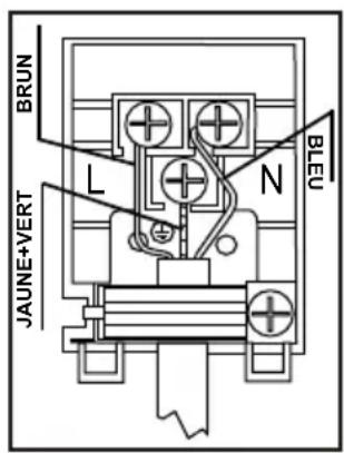 BLUESKY BTG 40 EFRN1 - Branchement électrique de votre plaque de cuisson - 1