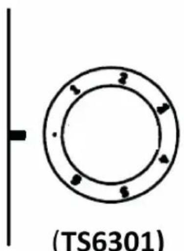 CALIFORNIA TCT6102XCA - Manette de plaque électrique - 2