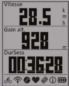 Bryton Rider 210 - Affichage du compteur - 4