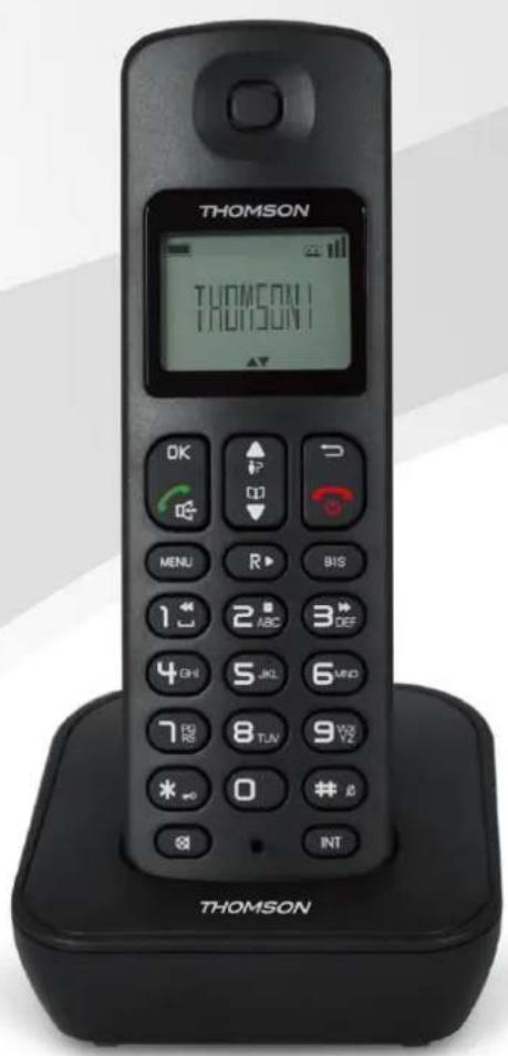 THOMSON Mica TH020DRBK - Téléphone sans fil numé rique Manuel d'utilisation - 1