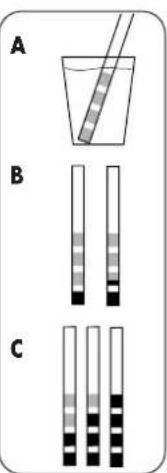 DOMENA Xstream 1 - Empfehlung - 1