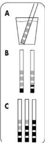 DOMENA Xelys 2 - Empfehlung - 1