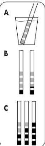 DOMENA Xelys 1 - Empfehlung - 1