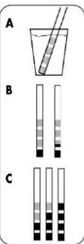 DOMENA Xellence 1 - Empfehlung - 1