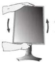 NEC MD205MG1 - Bildschirmdrehung - 1