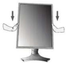 NEC MD205MG1 - Élévation et abaissement de l'écran du moniteur - 2