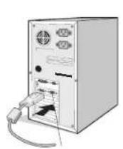 NEC MD205MG1 - 苏知与世 - 1