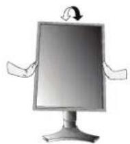 NEC MD205MG1 - Neigen und Schwenken - 1