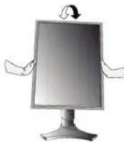 NEC MD205MG1 - Tilt and Swivel - 5