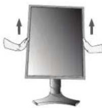 NEC MD205MG1 - Tilt and Swivel - 1