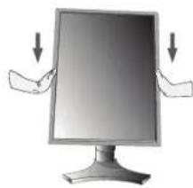 NEC MD205MG1 - Tilt and Swivel - 2