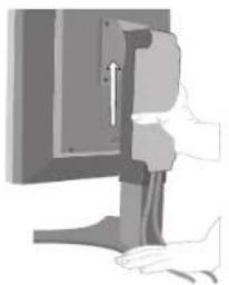 NEC MD205MG1 - 愿 - 3