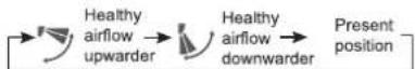 HAIER AC60FS1ERA - ■ Healthy airflow Operation - 1