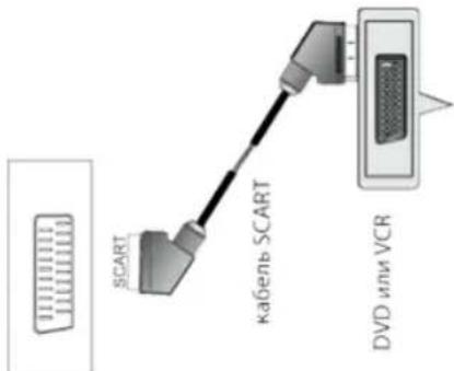 ORION LED2446 - • ПОДКЛЮЧЕНИЕ ЧЕРЕЗ SCART - 1