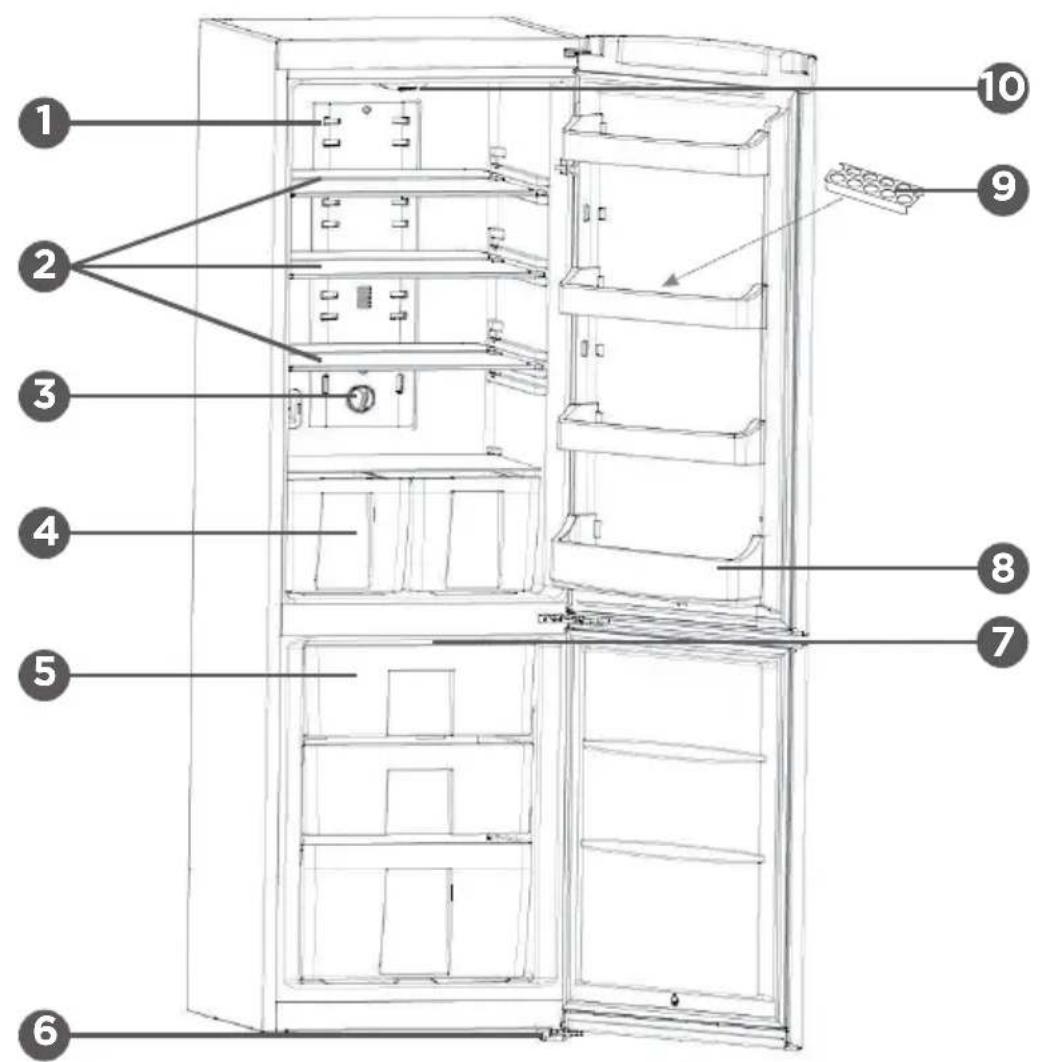 Qilive Q.6006 - DESCRIPTION - 2