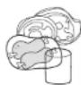 CALIFORNIA BCD295VCS - PLACER DES ALIMENTS - 2
